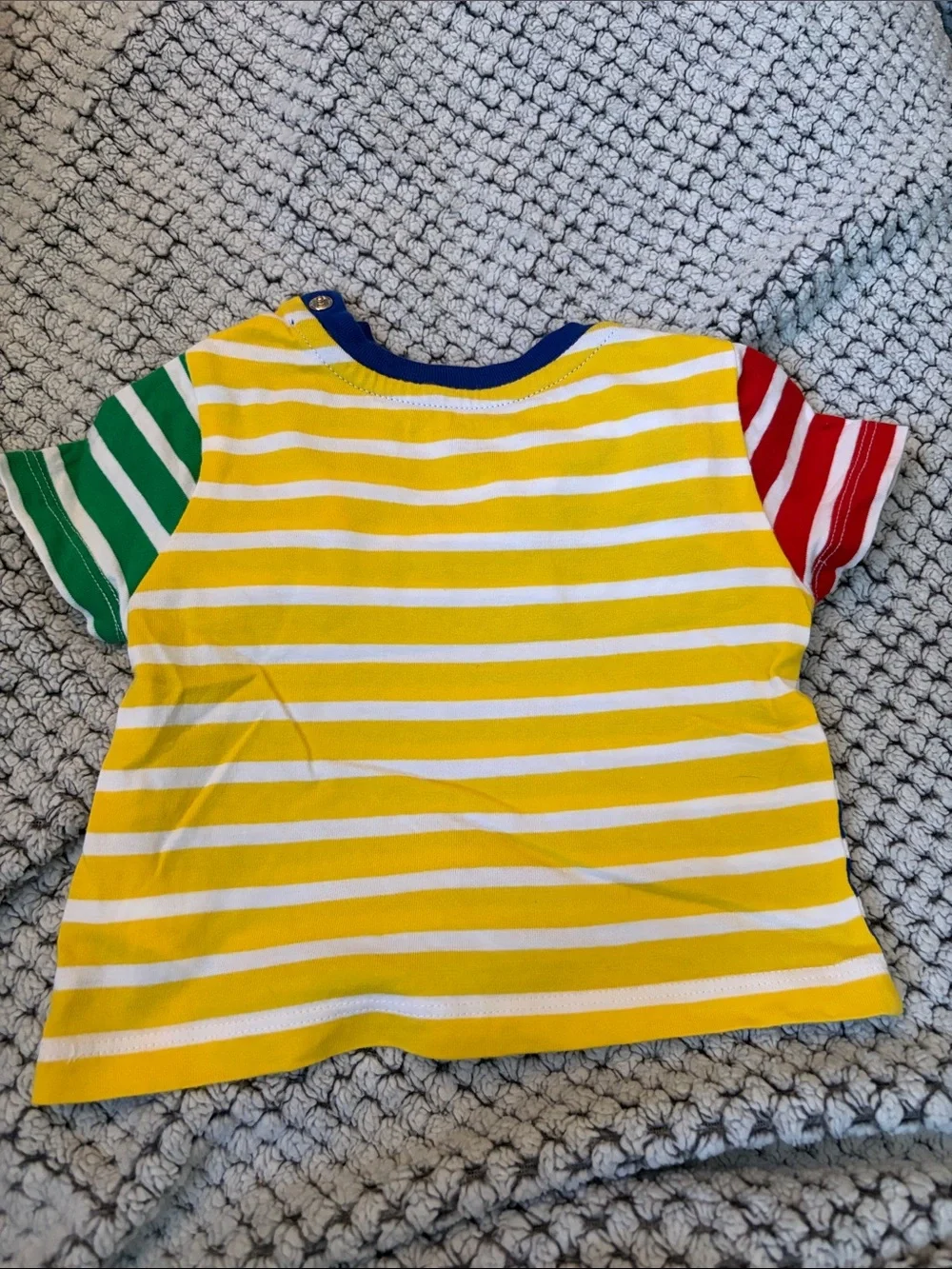 Ralph Lauren Blue & White Striped Tee with Red and Green Sleeves